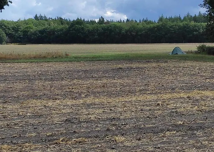 بيت للعطل In Near Forest *