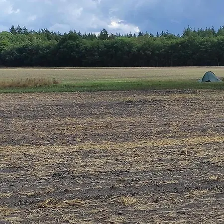 Dom wakacyjny In Near Forest *